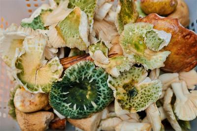 山野食味 吃遍红河好味