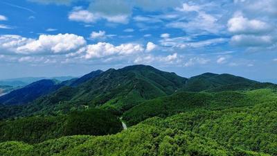清凉一夏游玉溪丨夏日到玉溪，山里躲清凉！