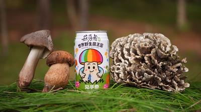 火把那么燃，菌子那么香！盛夏楚雄等你来
