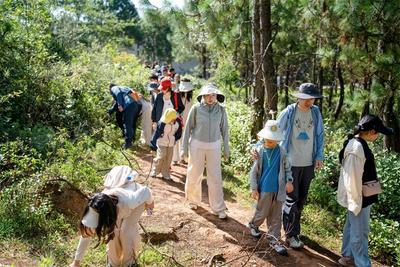 从田间课堂到海外市场 牟定凤屯农文旅双向出彩