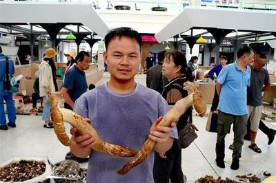 “菌王”霸“江湖”！8月5日南华菌王争霸开赛，最高奖金3500元等你拿
