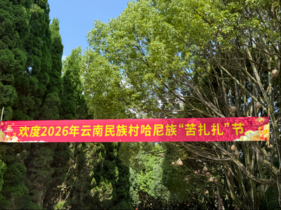 传承哈尼非遗 云南民族村举办“苦扎扎”节系列活动