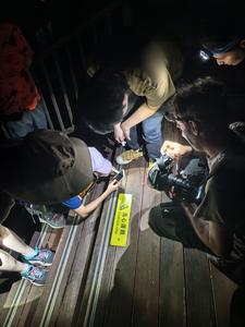 全球热带生物学者走进西双版纳原始森林公园 夜游研学体验获好评