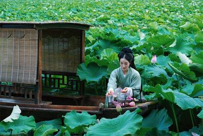 红河暑期宝藏活动汇总！音乐会、火把节、大地艺术挨个打卡