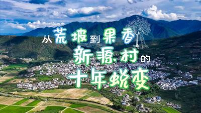 【视频】沿着长江看中国 | 从荒坡到果香：新源村的十年蜕变