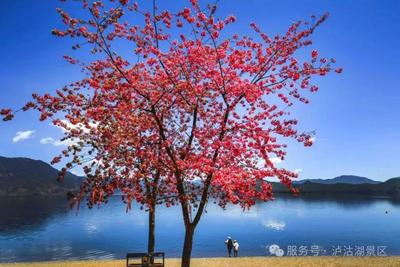 旧影留岁月 新景醉泸沽