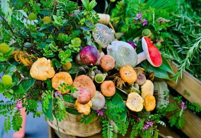 云南南华：野生菌花束  解锁夏日浪漫