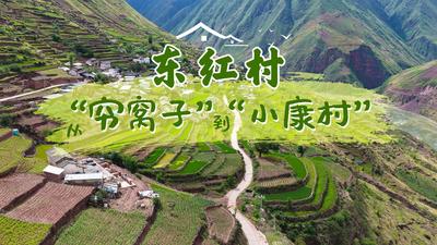 【视频】沿着长江看中国 | 告别悬崖“穷窝子”，安家城区“小康村”