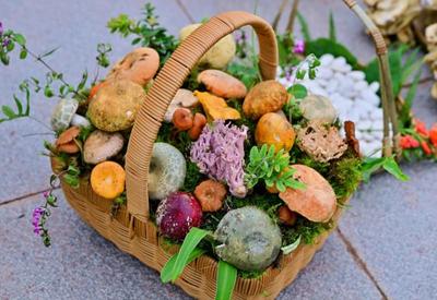 云南南华：野生菌花束  解锁夏日浪漫