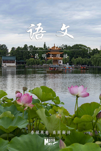 把云南山水，装进新学期的书页里