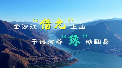 【视频】沿着长江看中国丨金沙江“借光”上山 干热河谷“绿”动翻身