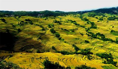 2026年全国赏秋地图发布 红河两地上榜！