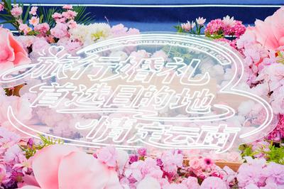 旅行婚礼首选目的地・情定云南2026年启动仪式在德宏梁河启幕