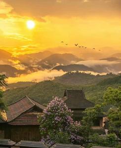 去景迈山，等一场从古茶林里长出来的云霞