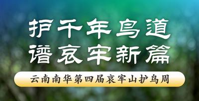倒计时3天！云南南华第四届哀牢山护鸟周——飞鸟归处，即是吾乡