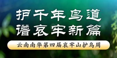 倒计时5天！云南南华第四届哀牢山护鸟周——它们记得归途，我们记得守候