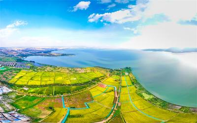 湖滨春城迎国庆 田园艺术庆丰收 ——福保半岛第三届大地丰收艺术节将于10月1日启幕