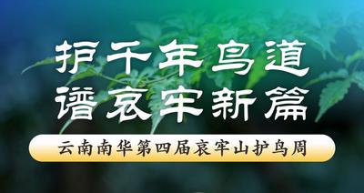 倒计时6天！云南南华第四届哀牢山护鸟周——邀您静候一场飞鸟与山风的重逢