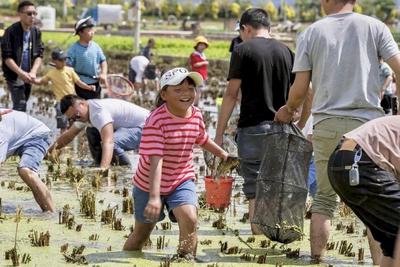 中秋国庆 乐游玉溪丨旅游精品线路推介——礼乐名邦山城湖村之旅