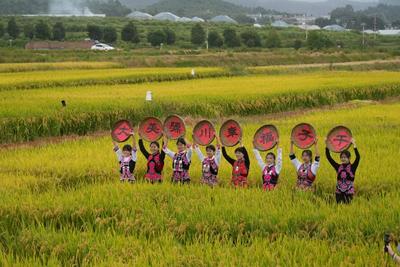 稻田当秀场 非遗绘丰年丨楚雄这场“田野T台秀”解锁乡村文旅新玩法