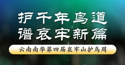 倒计时4天！云南南华第四届哀牢山护鸟周——人与飞鸟终不相负