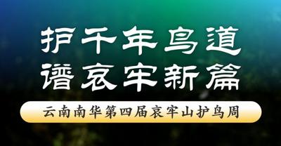 倒计时1天！云南南华第四届哀牢山护鸟周——明日，启幕