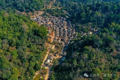 从申遗到“出圈”：景迈山绘就生态优异答卷