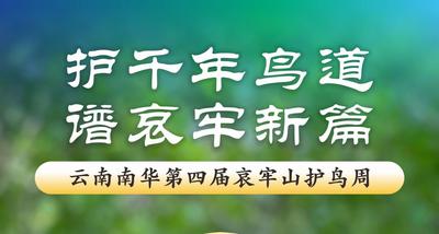 倒计时2天！云南南华第四届哀牢山护鸟周——月圆之夜，静候归巢