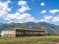 图集丨高峡平湖绘新卷 山水巧家焕新颜