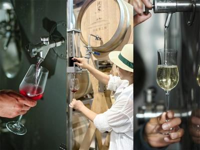 赴弥勒东风韵，共赏艺术、葡酒文化与森林疗愈之约