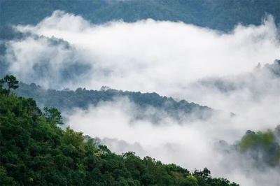 限定上线！景迈山秋冬云海季来了