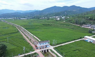 楚雄大姚石羊镇：小小蚕茧织就民族团结进步同心锦