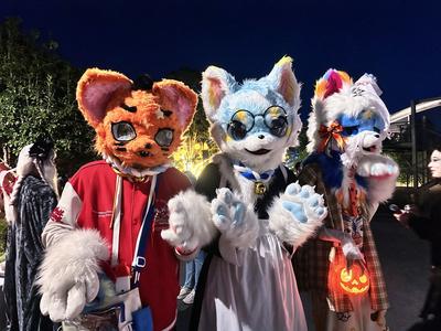 昆明世博园“惊奇十二夜”启幕 解锁国风夜游新体验