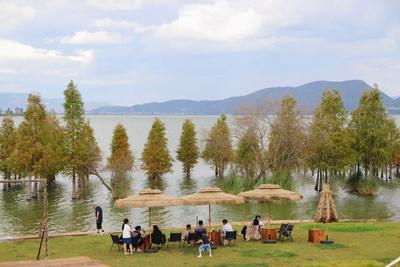 温润玉溪 旅居福地丨江川湖畔休闲游——把湖光、咖啡与落日都收进日常里