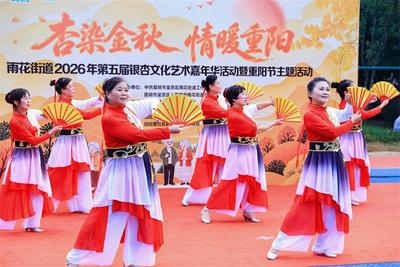 昆明市雨花街道2026年第五届银杏文化艺术嘉年华启幕