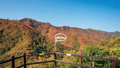 滇韩空中新通道开启 解锁韩国中南部大邱深度漫游新玩法