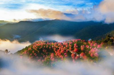 19.5℃的普洱，365天都是“舒适期”——气象与文旅联手，把“好气候”变成“好经济”