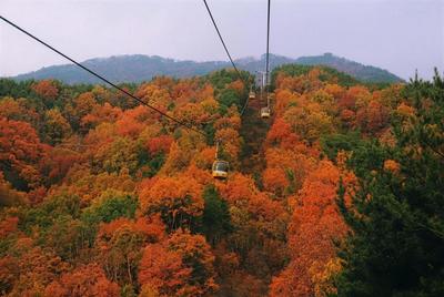滇韩空中新通道开启 解锁韩国中南部大邱深度漫游新玩法