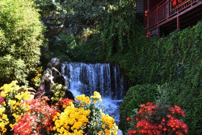 今天走了3万步！只为把丽江的秋天看一遍！