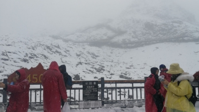 丽江玉龙雪山又下雪啦！风景超美！今日冰川公园索道票已售罄