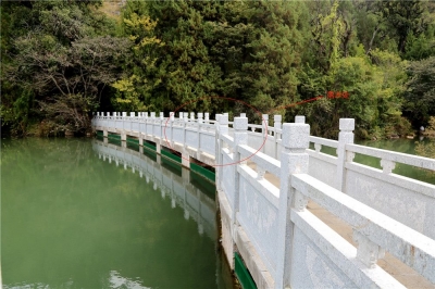 点赞！《印象•丽江》员工勇救落水女孩后默默离开