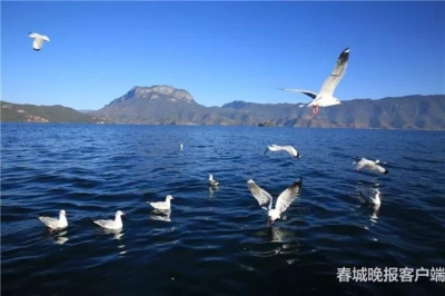 一级保护区禁止游泳、露营…《丽江市泸沽湖保护条例》下月起施行