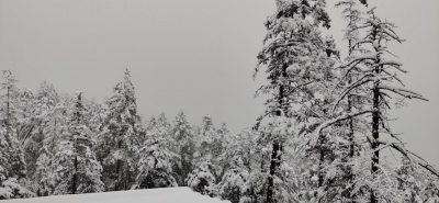 玉龙雪山2020年第一场雪美图来了！冰川、牦牛坪两景点积雪过大暂停开放