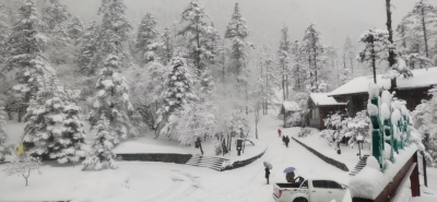 玉龙雪山2020年第一场雪美图来了！冰川、牦牛坪两景点积雪过大暂停开放
