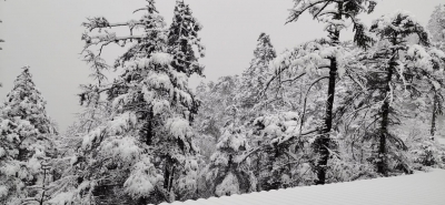 玉龙雪山2020年第一场雪美图来了！冰川、牦牛坪两景点积雪过大暂停开放