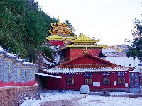 寺院掠影 | 雪后的丽江文峰寺