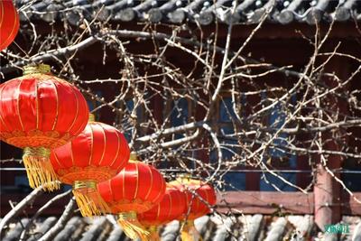 【丽江过大年】年味越来越淡？那是因为你没来丽江！
