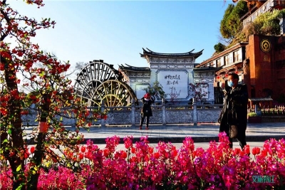 春暖花开 丽江古城有序开放