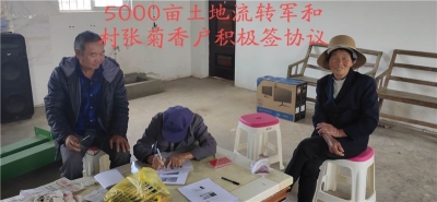 推动农旅融合，丽江永胜三川镇5000亩软籽石榴现代产业园开工！