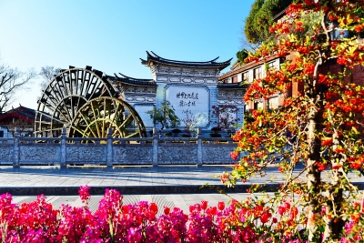 春分｜《丽江春日芳菲图》
